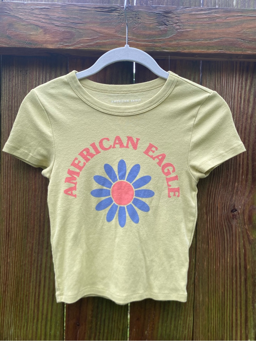 American Eagle Outfitters Daisy Tee